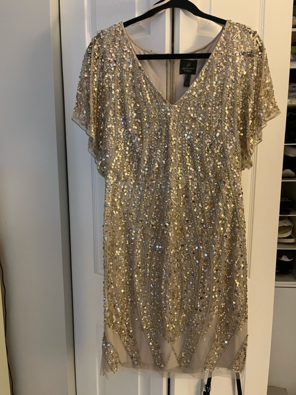 Adrianna Papell Women's Beaded Mesh  Dress
